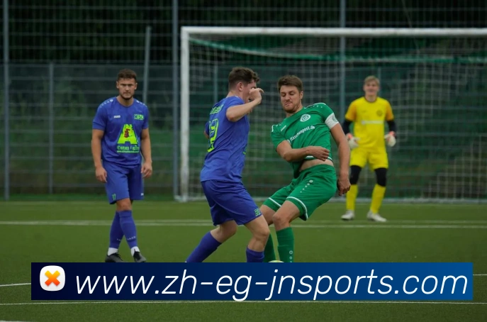 江南体育APP 封面图